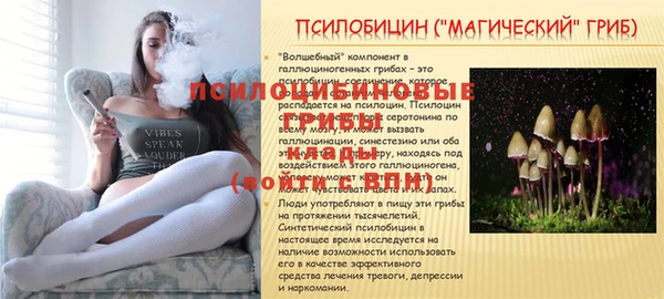 крисы Переславль-Залесский