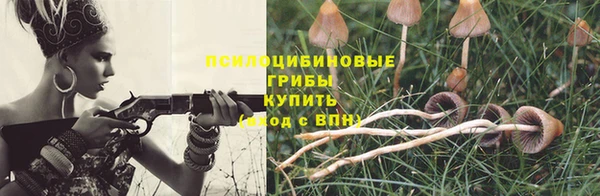 ECSTASY Покачи