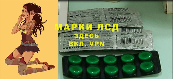 ECSTASY Покачи